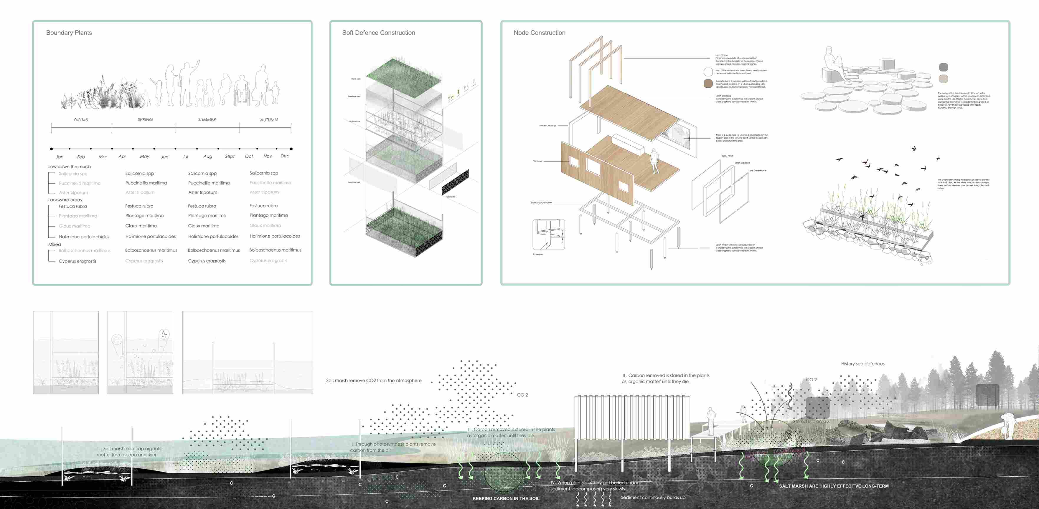 Foreshore - Boundary Design Detail