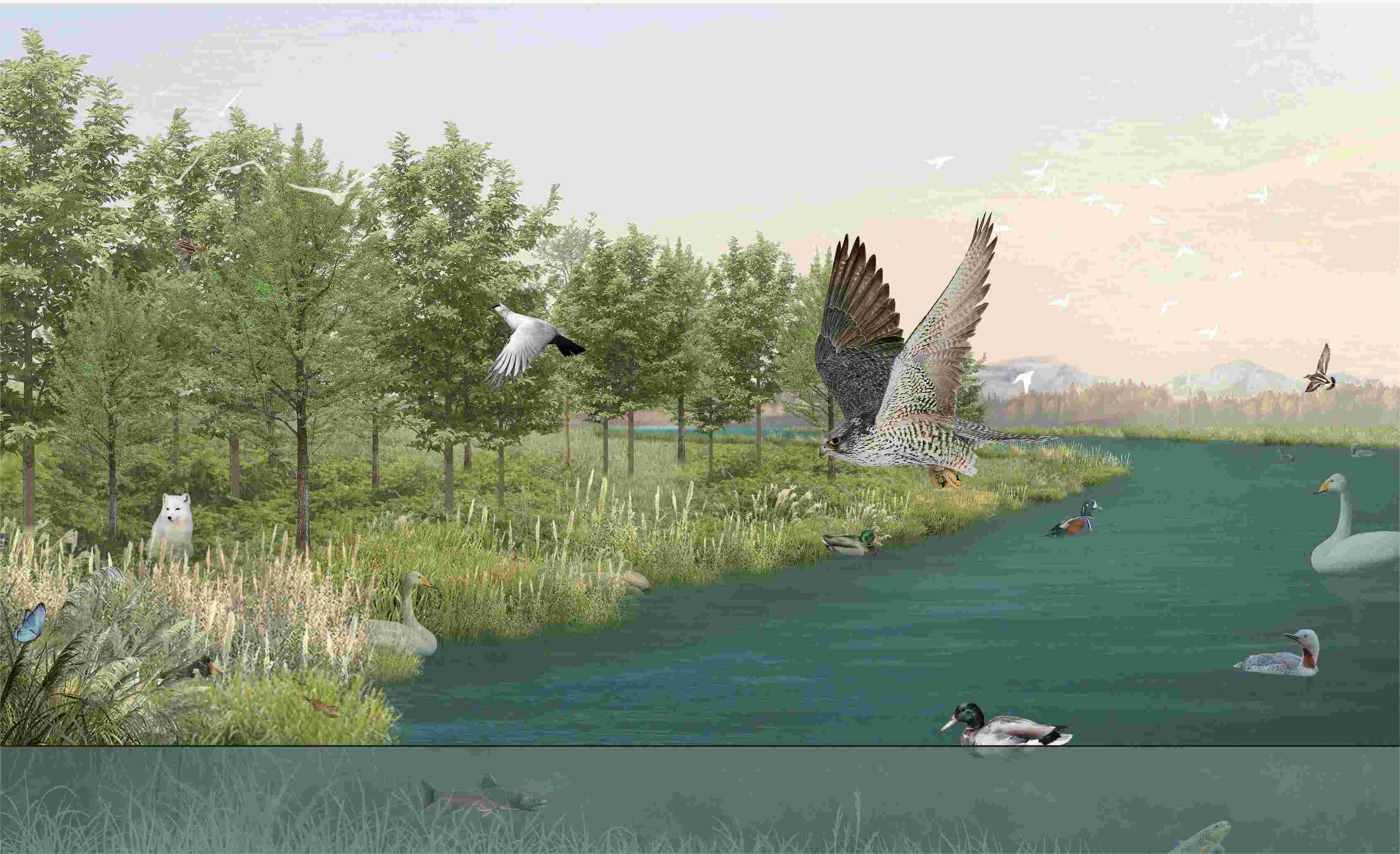 landscape-architecture-mla-edinburgh-college-of-art-graduate-show-2023